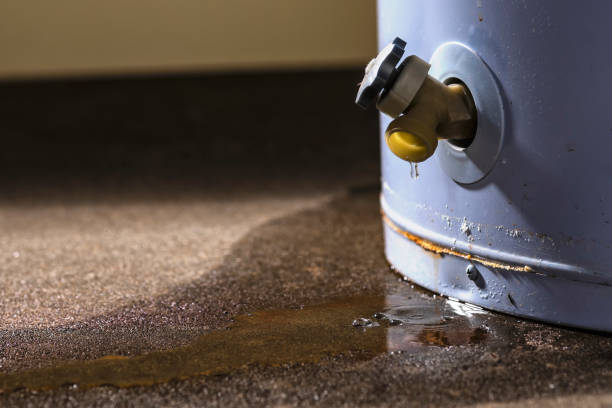 Best Flood damage cleanup  in Tignall, GA