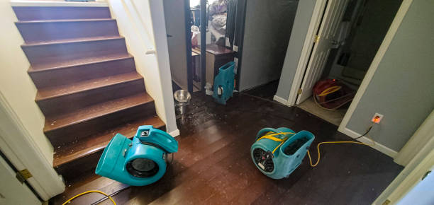 Best Emergency water damage restoration  in Tignall, GA