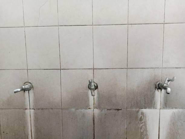  Tignall, GA Water damage restoration Pros