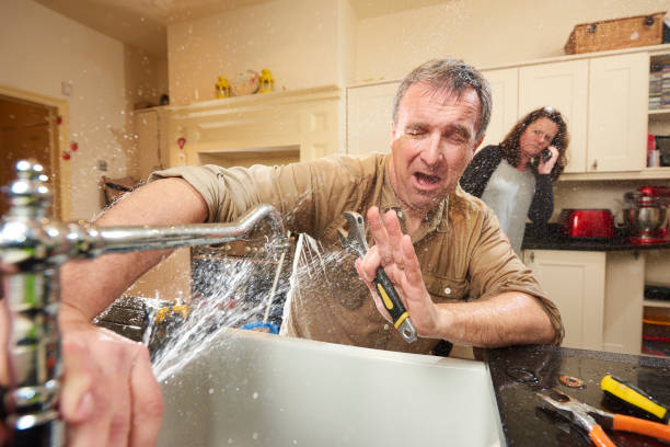 Best Water damage cleanup near me  in Tignall, GA
